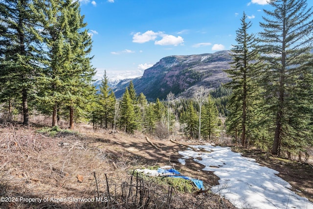 TBD Elk Mountain Dr, Redstone, CO 81623