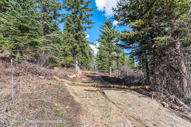 TBD Elk Mountain Dr, Redstone, CO 81623