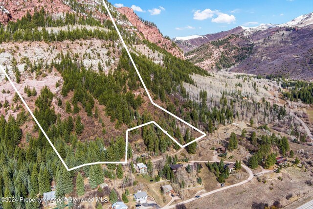 TBD Elk Mountain Dr, Redstone, CO 81623