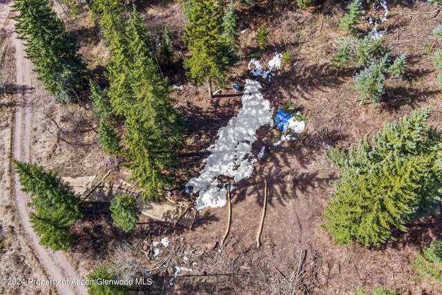 TBD Elk Mountain Dr, Redstone, CO 81623
