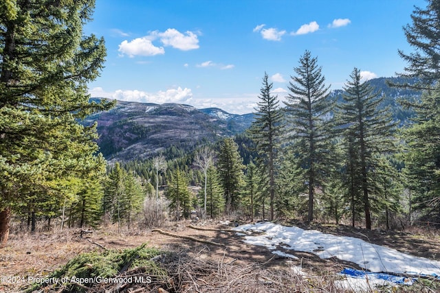 TBD Elk Mountain Dr, Redstone, CO 81623
