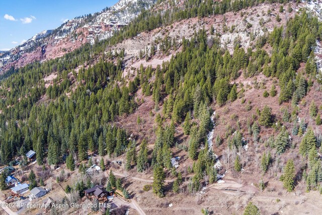 TBD Elk Mountain Dr, Redstone, CO 81623