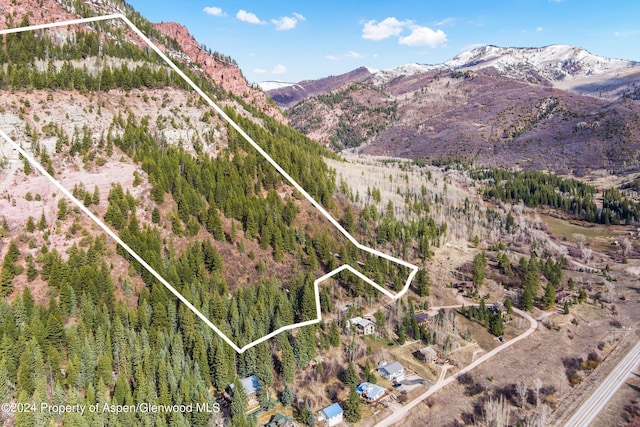 TBD Elk Mountain Dr, Redstone, CO 81623