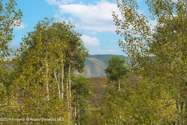 view of mountain feature