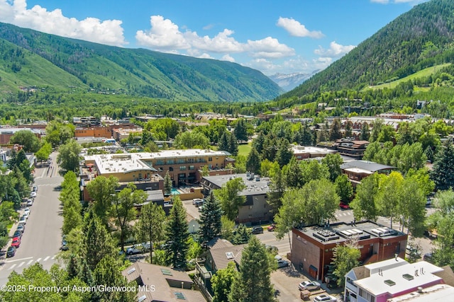 311 S Aspen St Unit 5, Aspen, CO 81611 - photo 11