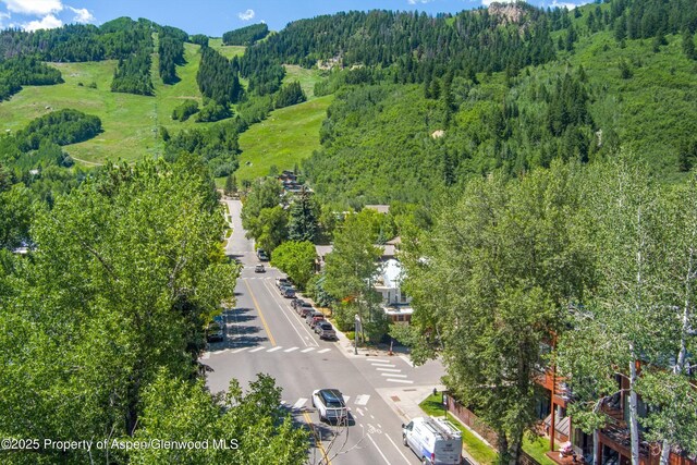 311 S Aspen St Unit 5, Aspen, CO 81611 - photo 13