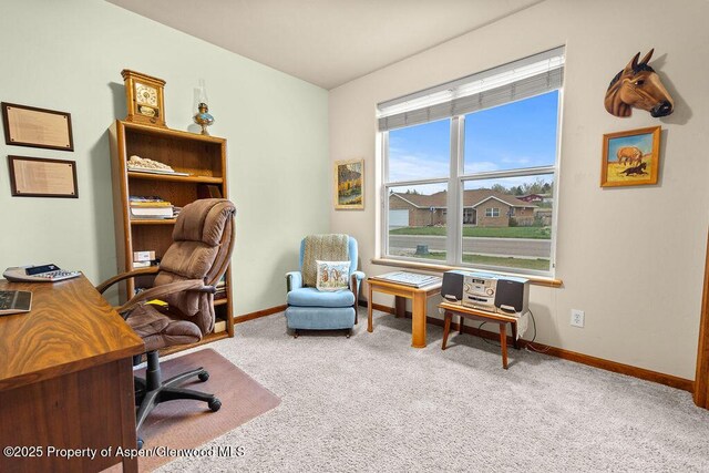 office space with carpet flooring and baseboards