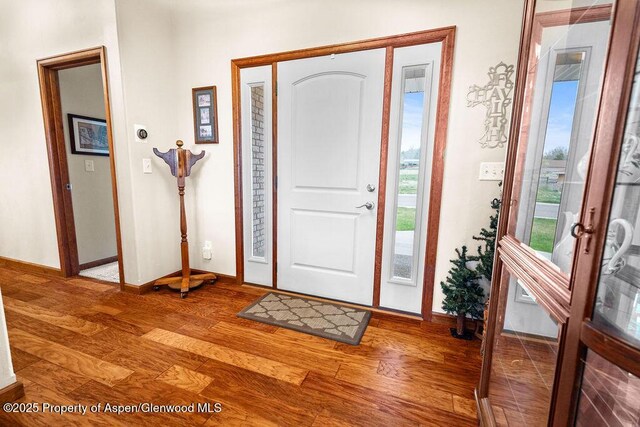 foyer with baseboards, light wood-style floors, and healthy amount of natural light