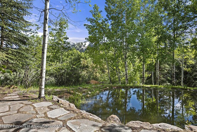 property view of water