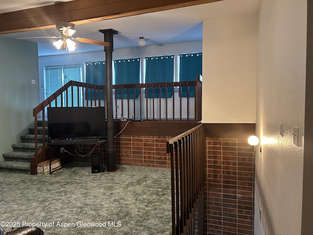 staircase with carpet flooring and a ceiling fan