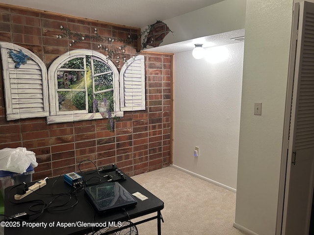 interior space featuring baseboards and carpet flooring