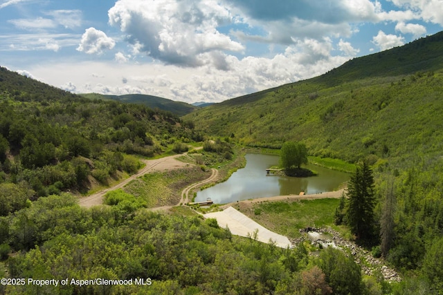 3691 E Sopris Creek Rd, Basalt, CO 81621 - photo 2