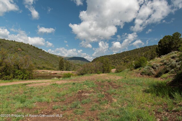 3691 E Sopris Creek Rd, Basalt, CO 81621 - photo 10