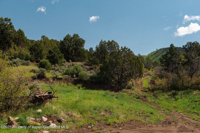 3691 E Sopris Creek Rd, Basalt, CO 81621 - photo 12