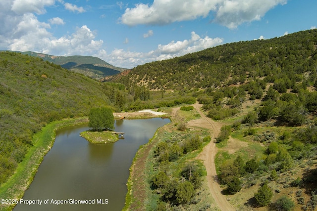 3691 E Sopris Creek Rd, Basalt, CO 81621 - photo 1