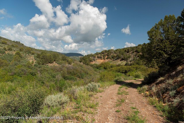 3691 E Sopris Creek Rd, Basalt, CO 81621 - photo 11