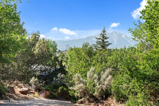 4698 County Road 154, Glenwood Springs, CO 81601 - photo 8