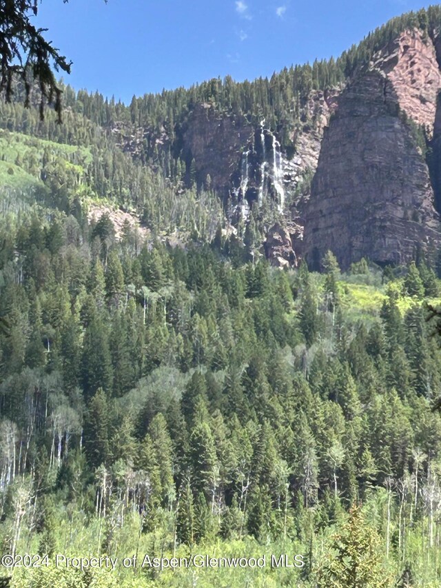 135 Irwin Dr, Redstone, CO 81623 - mountain view featuring a heavily wooded area