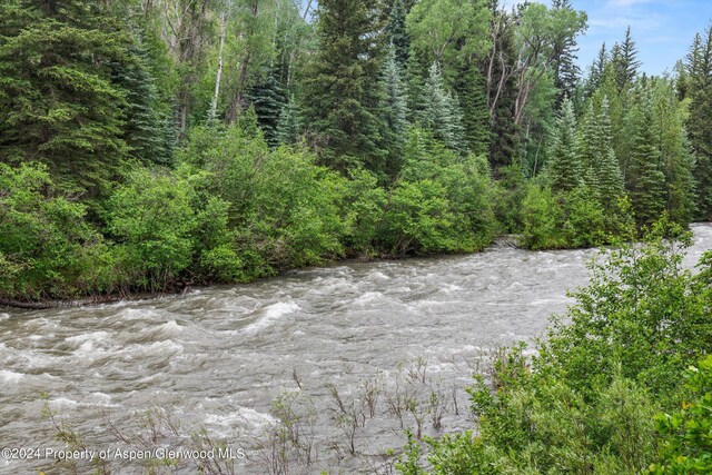 135 Irwin Dr, Redstone, CO 81623 - view of nature