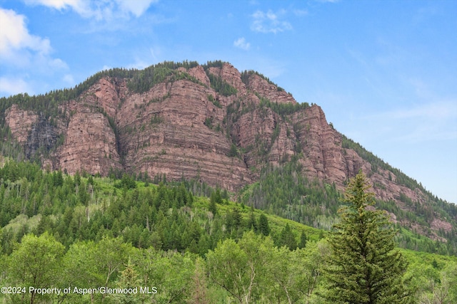 135 Irwin Dr, Redstone, CO 81623 - view of mountain backdrop with a forest