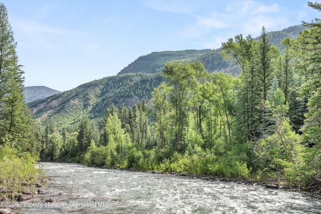 135 Irwin Dr, Redstone, CO 81623 - view of mountain backdrop featuring a forest