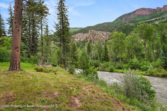 135 Irwin Dr, Redstone, CO 81623 - view of mountain background with a heavily wooded area