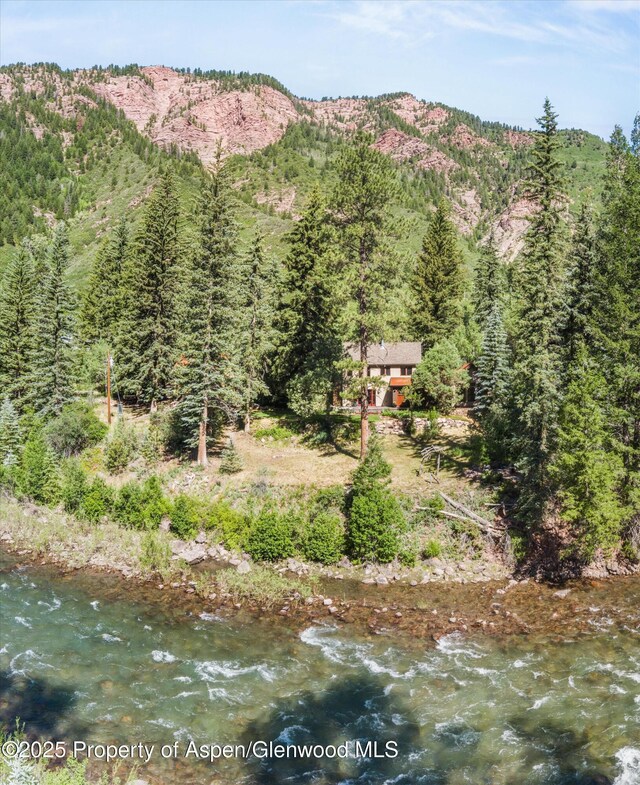 135 Irwin Dr, Redstone, CO 81623 - mountain view with a heavily wooded area