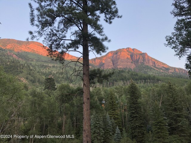 135 Irwin Dr, Redstone, CO 81623 - view of mountain background with a forest