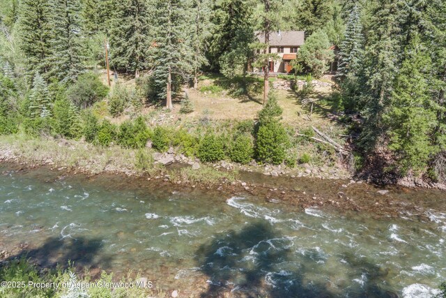 135 Irwin Dr, Redstone, CO 81623 - water view with a heavily wooded area