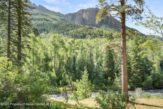 135 Irwin Dr, Redstone, CO 81623 - mountain view featuring a heavily wooded area