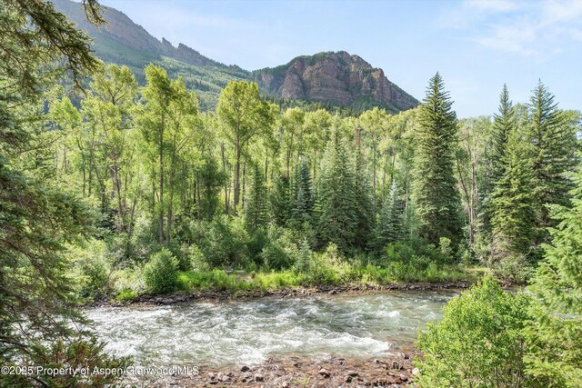135 Irwin Dr, Redstone, CO 81623 - view of mountain background with a forest