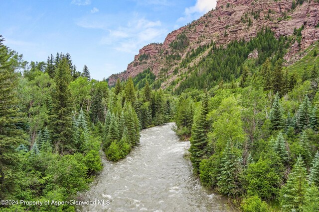 135 Irwin Dr, Redstone, CO 81623 - view of mountain background with a heavily wooded area