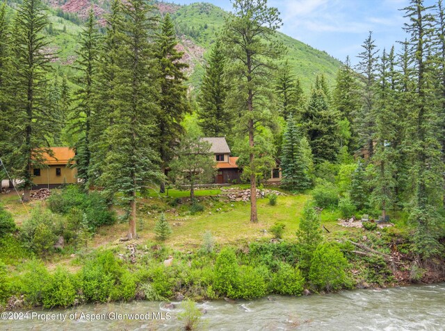 135 Irwin Dr, Redstone, CO 81623 - view of yard featuring a wooded view and a mountain view