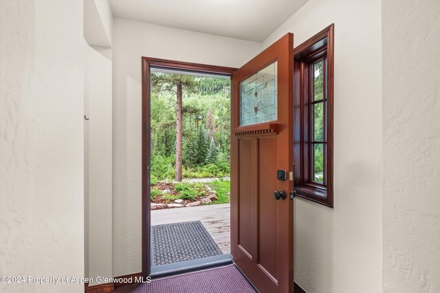 135 Irwin Dr, Redstone, CO 81623 - foyer entrance featuring a textured wall