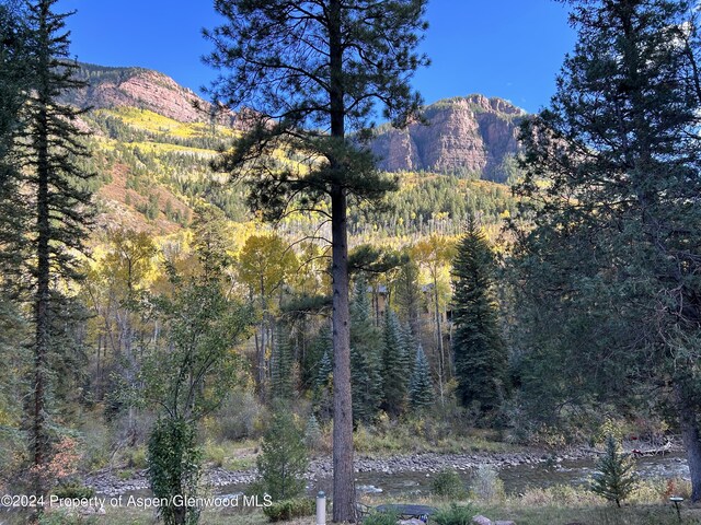 135 Irwin Dr, Redstone, CO 81623 - mountain view featuring a heavily wooded area