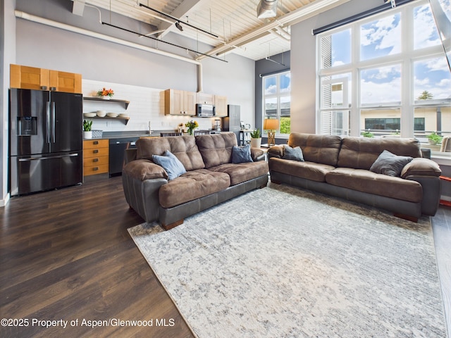 231 Robinson St Unit R306, Basalt, CO 81621 - living area featuring dark wood-style floors, track lighting, and a high ceiling