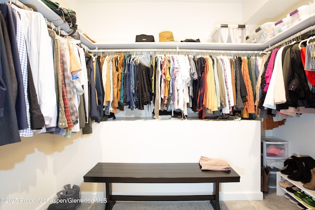 view of spacious closet