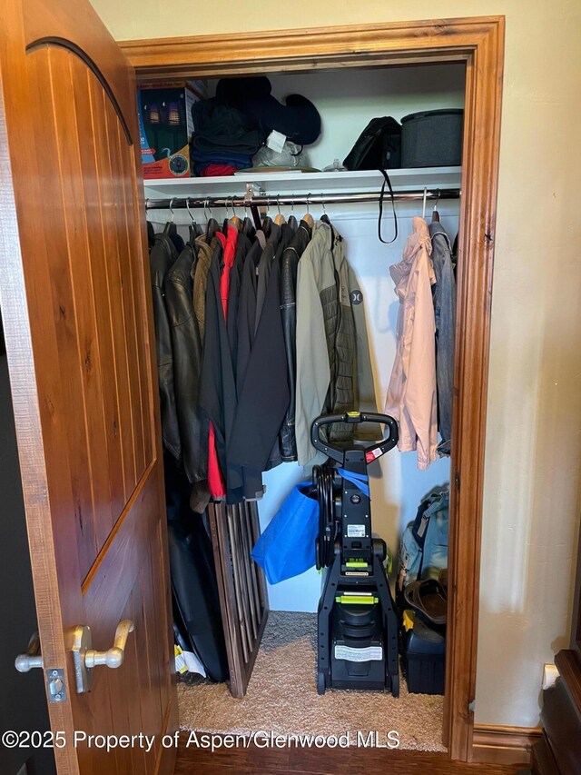 566 Latham Ranch Rd, Rifle, CO 81650 - view of closet