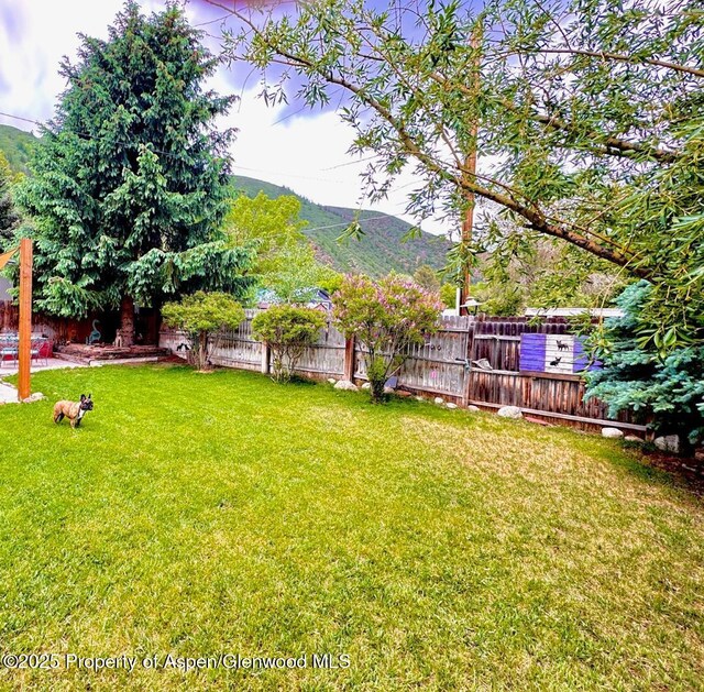 73 Lazy Gln, Snowmass, CO 81654 - photo 29