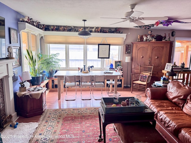73 Lazy Gln, Snowmass, CO 81654 - photo 8