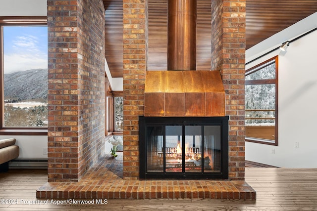 room details with a mountain view, a baseboard radiator, hardwood / wood-style flooring, and a brick fireplace