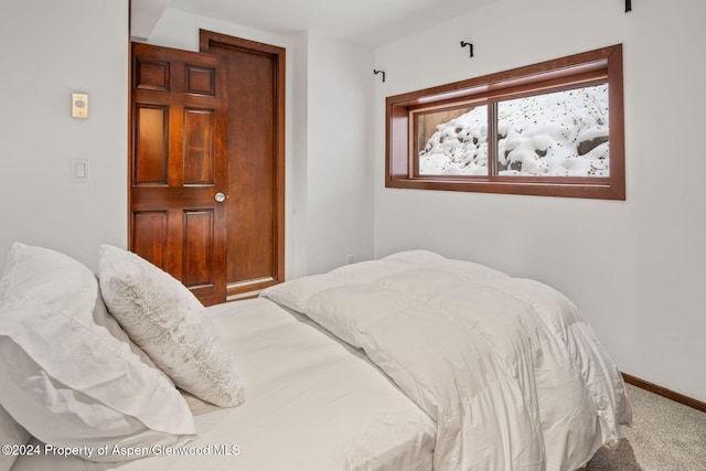 bedroom with carpet floors