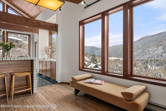 sitting room featuring baseboard heating, a mountain view, and dark hardwood / wood-style flooring