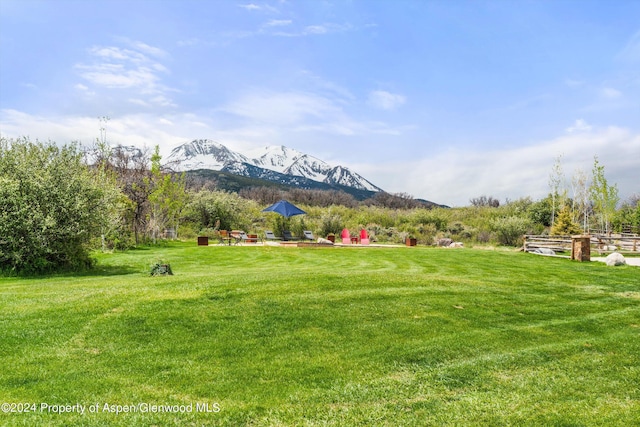 view of yard featuring a mountain view