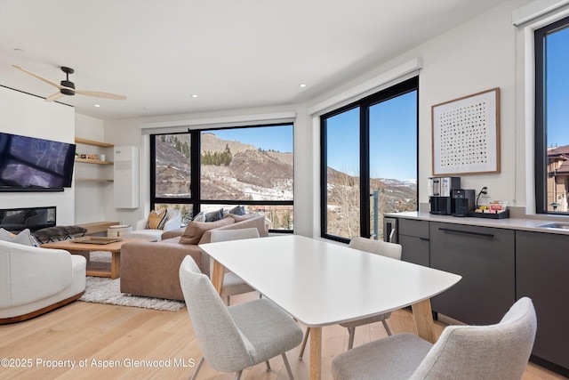 dining space with a mountain view and light hardwood / wood-style flooring