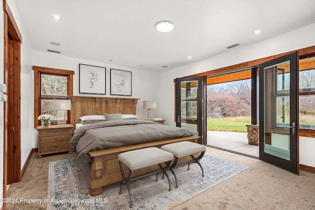 199 Bluestem Ct, Carbondale, CO 81623 - carpeted bedroom with access to outside