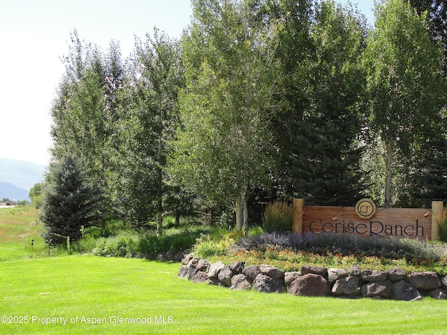 199 Bluestem Ct, Carbondale, CO 81623 - community sign with a mountain view and a lawn