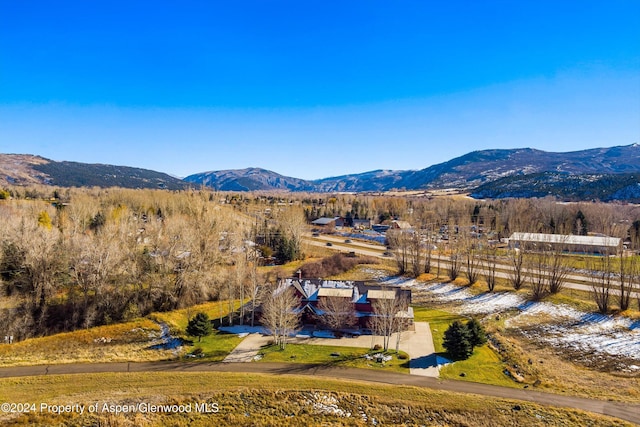 199 Bluestem Ct, Carbondale, CO 81623 - mountain view