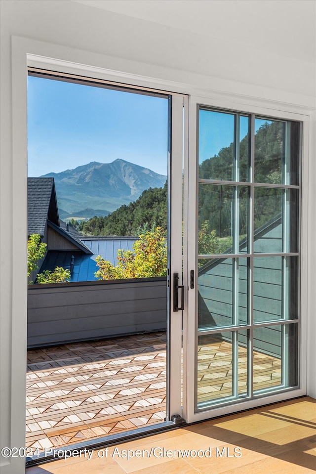 entryway with a mountain view and a healthy amount of sunlight