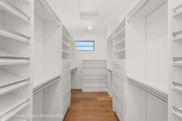 walk in closet featuring dark hardwood / wood-style flooring